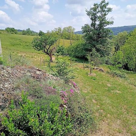 Ecrin De Verdure En Ardeche Verte Colombier-le-Vieux Eksteriør bilde